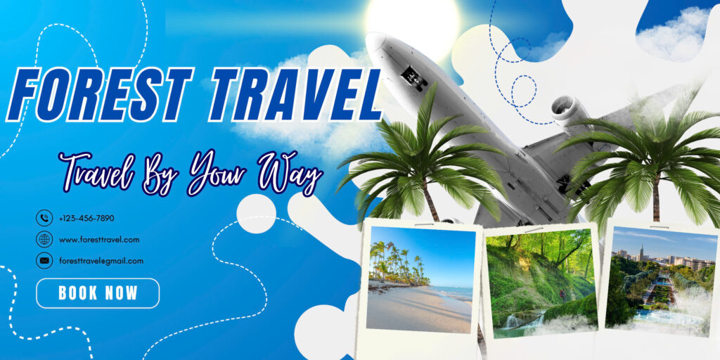 Cùng tìm hiểu những chuyến du lịch giá rẻ với FOREST TRAVEL nhé!